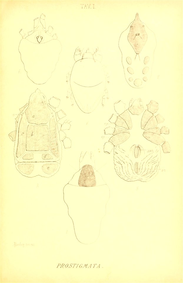 n166_w1150
