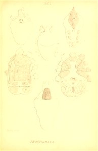 n166_w1150