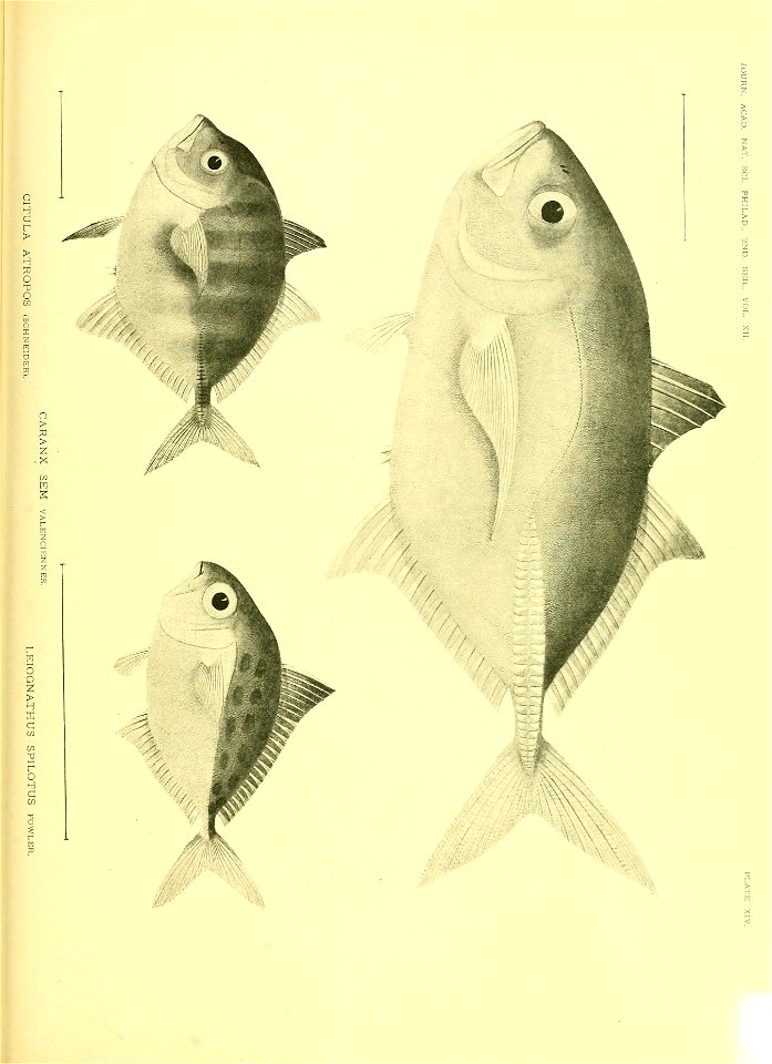 n614_w1150