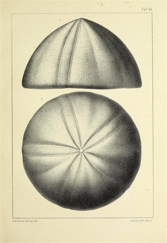 n178_w1150