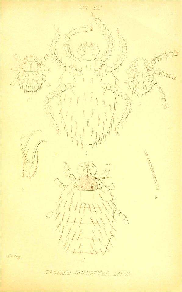 n194_w1150