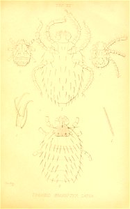 n194_w1150