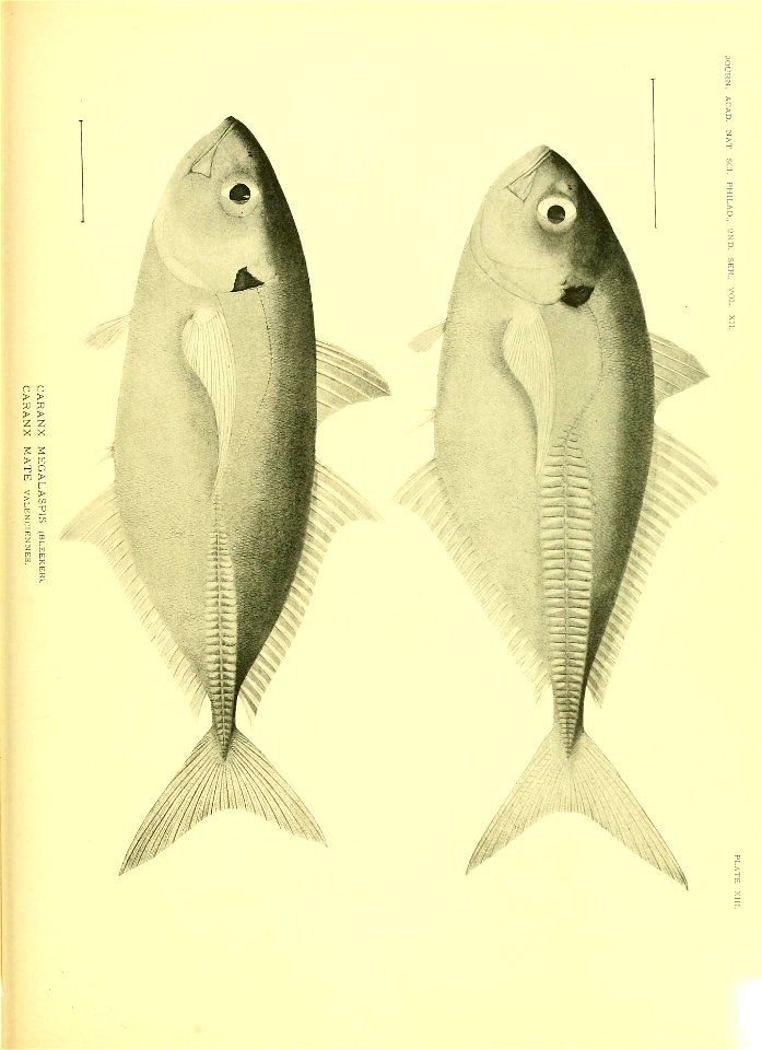 n612_w1150