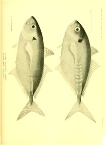 n612_w1150