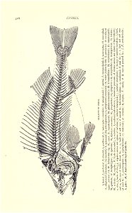 n343_w1150