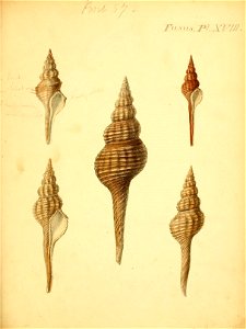 n546_w1150