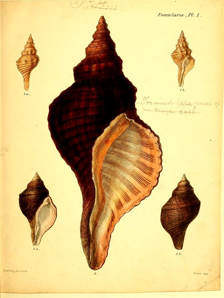 n404_w1150