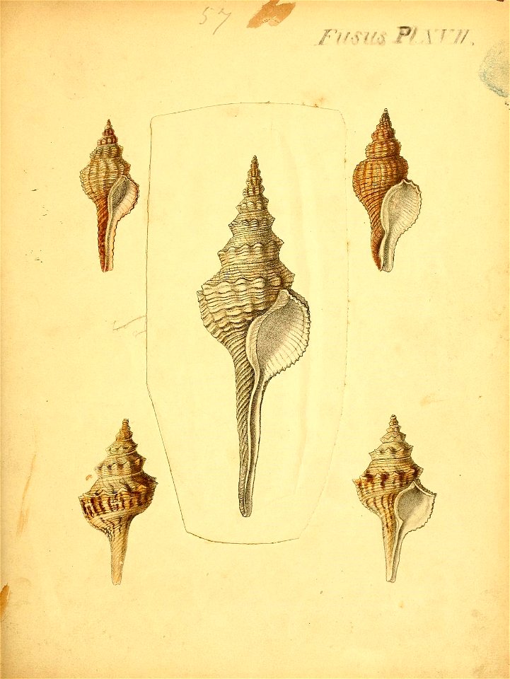 n542_w1150