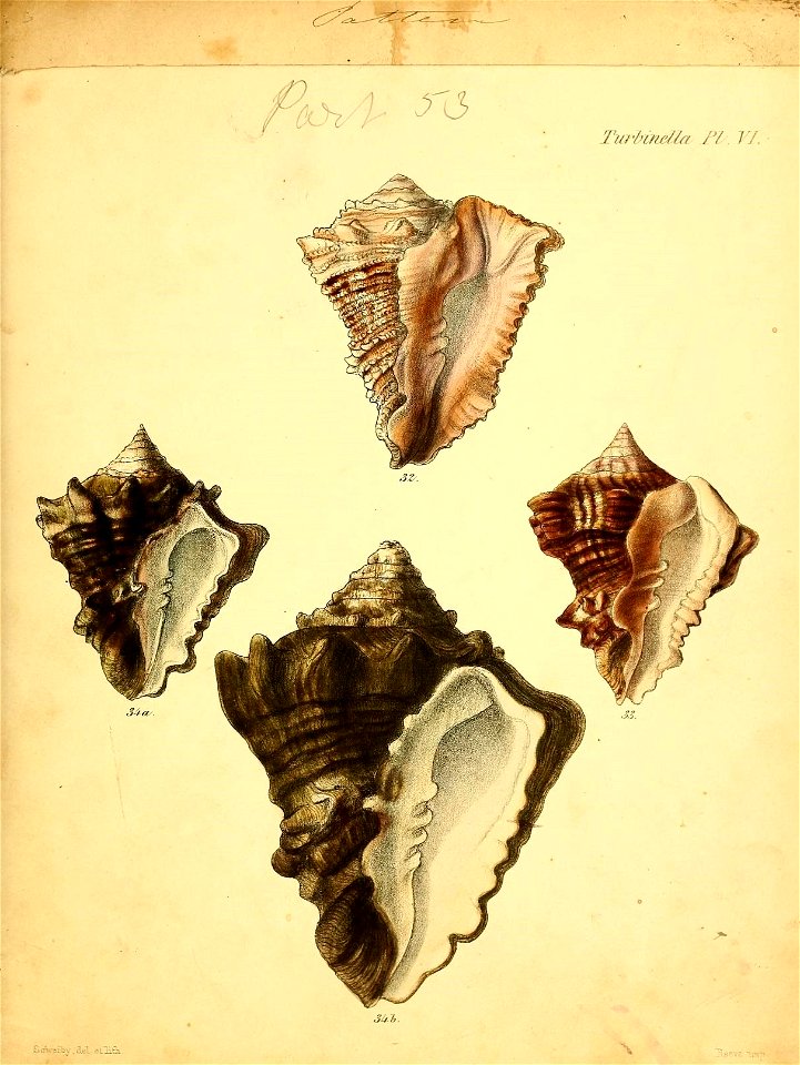 n352_w1150
