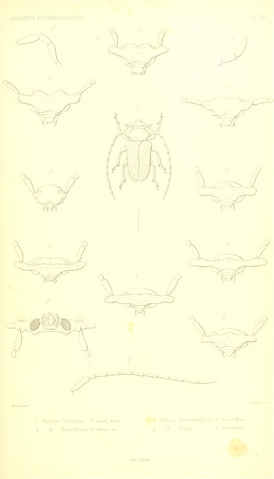 n536_w1150
