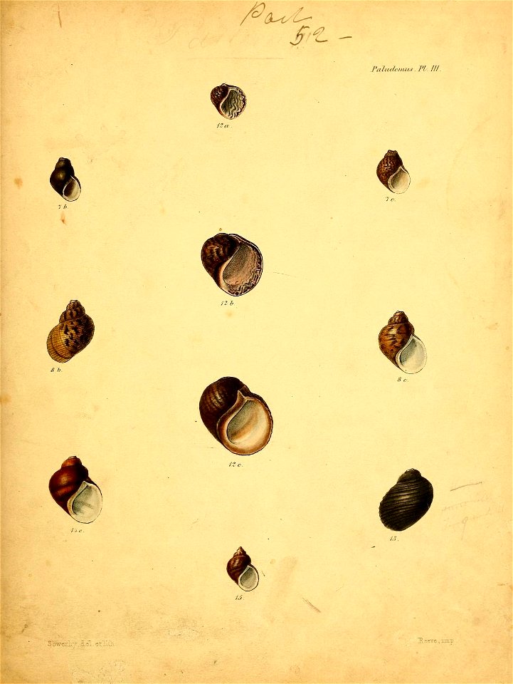n588_w1150