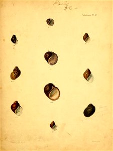 n588_w1150