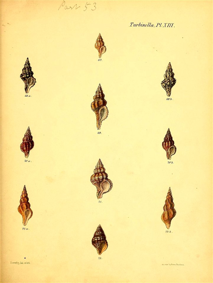 n394_w1150