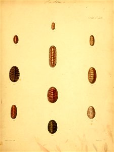 n192_w1150