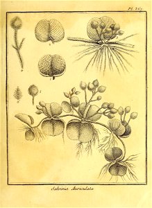 n358_w1150