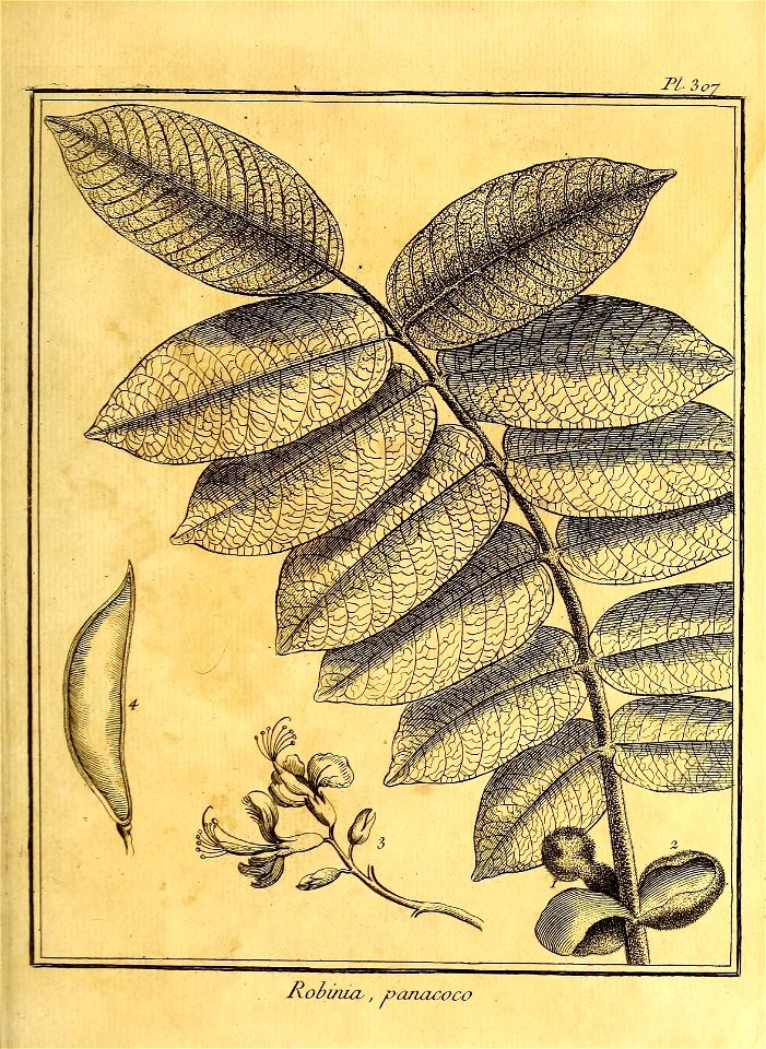 n238_w1150