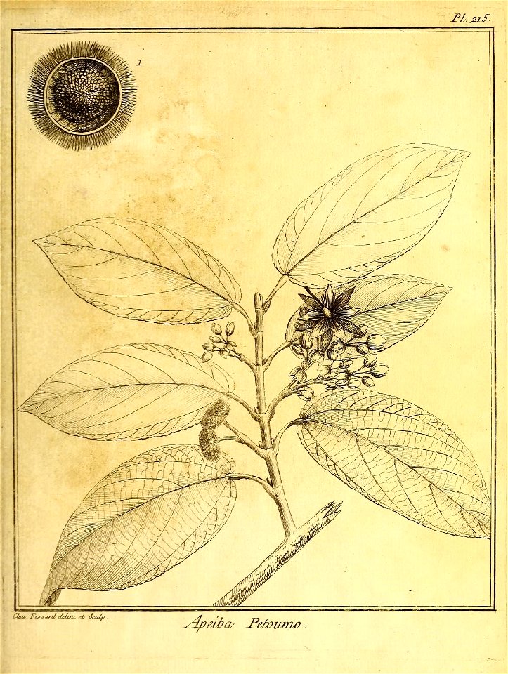 n54_w1150