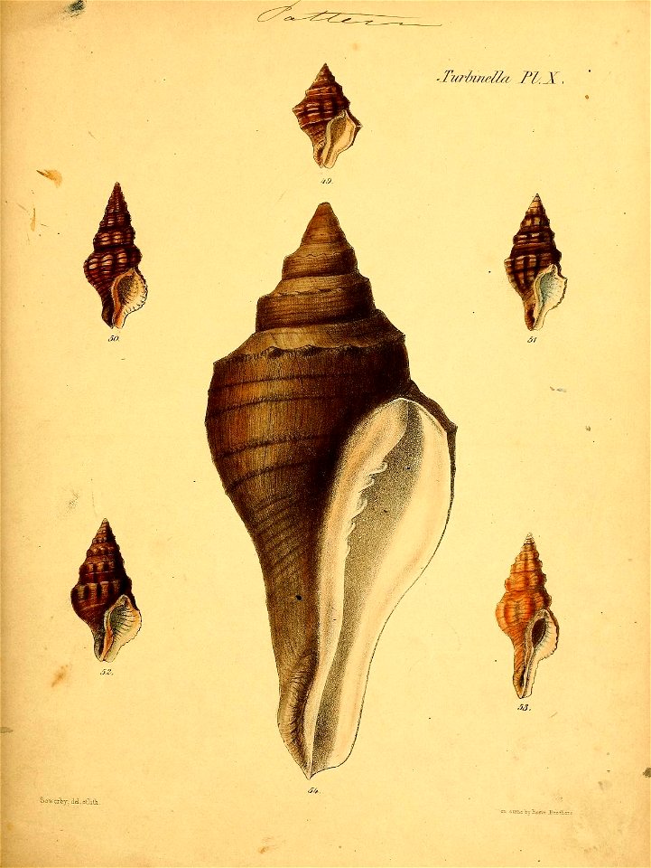 n378_w1150