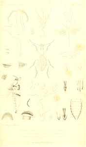 n552_w1150