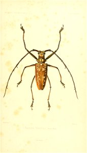 n522_w1150