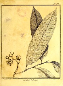 n200_w1150