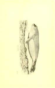 n28_w1150