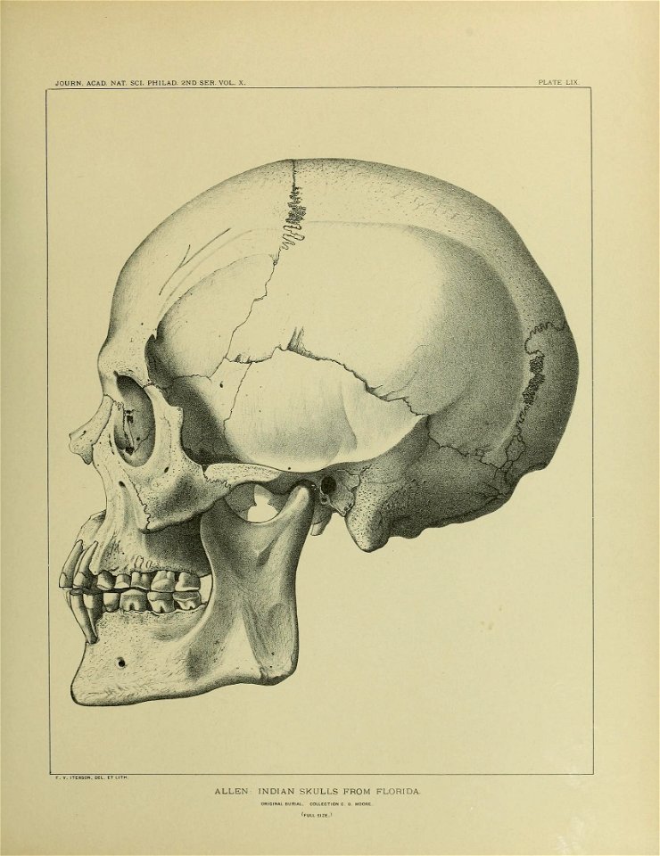 n668_w1150