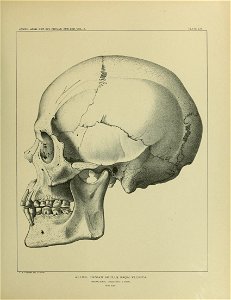n668_w1150