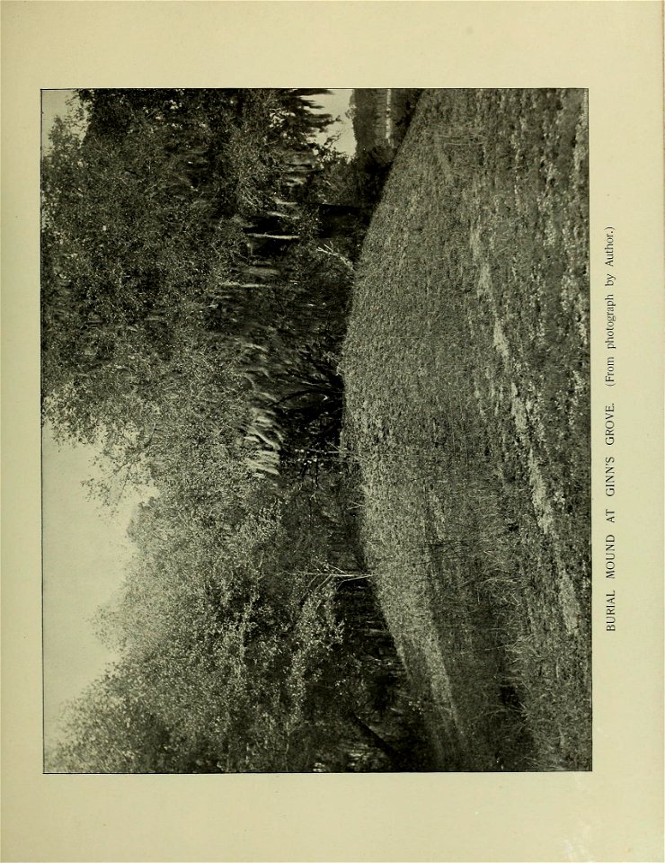 n578_w1150