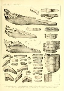 n524_w1150