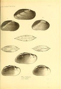 n494_w1150