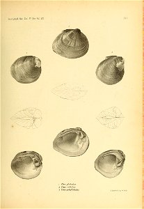 n464_w1150