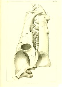 n512_w1150