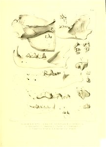 n482_w1150
