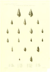 n558_w1150