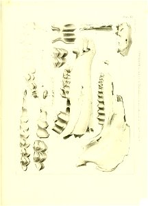 n510_w1150