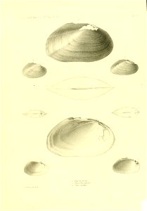 n378_w1150