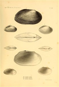n548_w1150