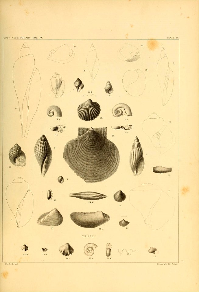 n518_w1150