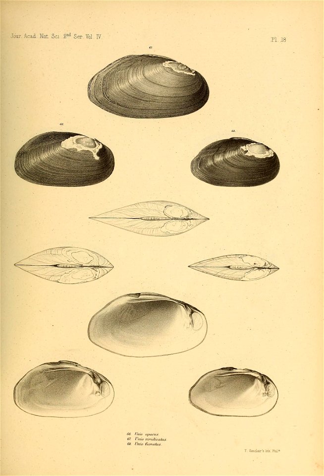 n458_w1150