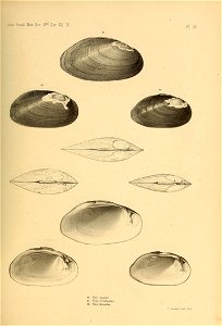 n458_w1150