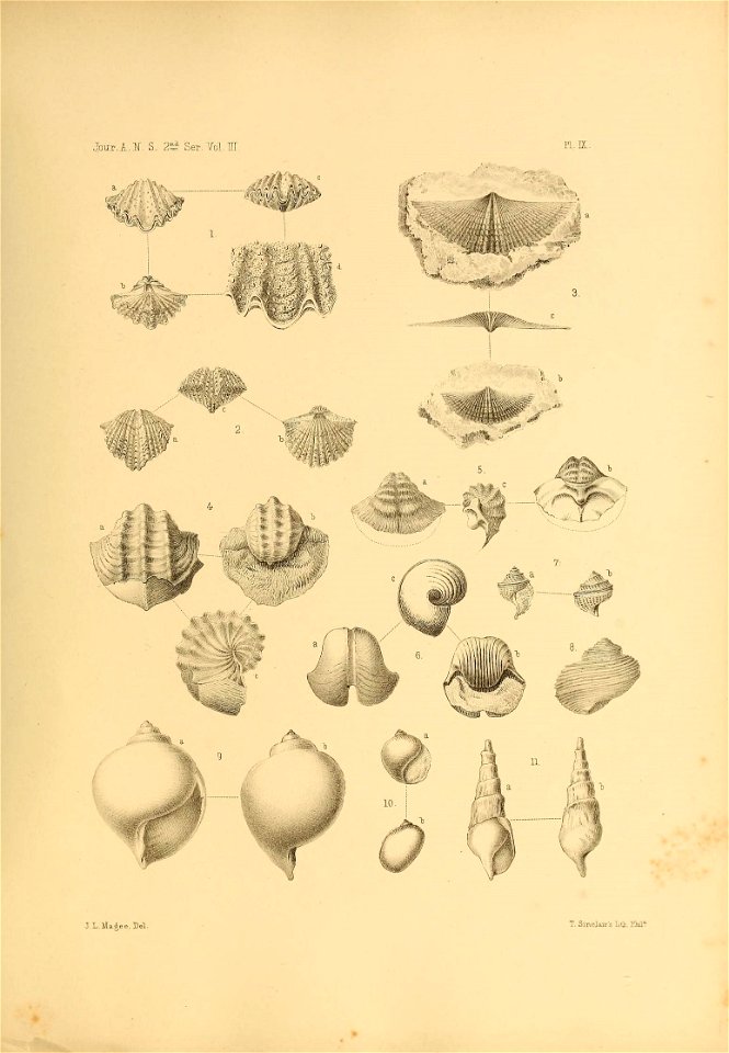 n404_w1150
