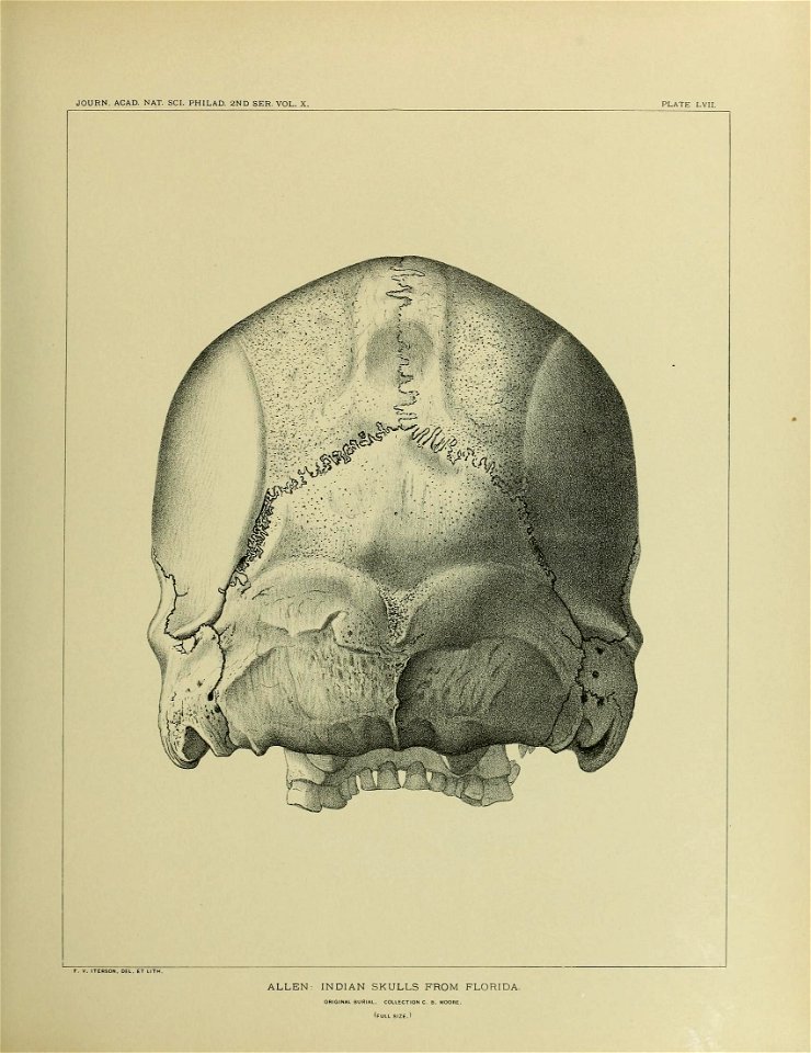 n664_w1150