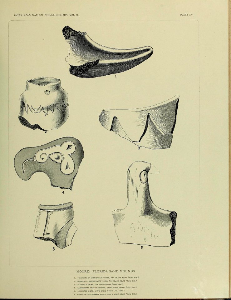 n574_w1150