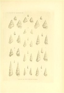 n520_w1150