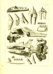 n538_w1150