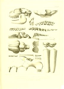 n508_w1150