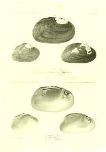 n464_w1150
