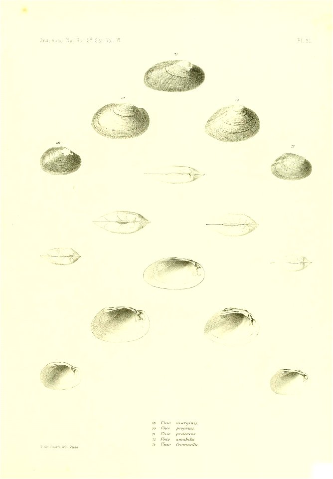 n436_w1150