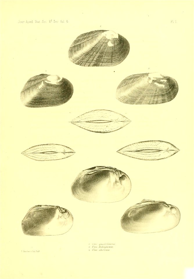 n376_w1150